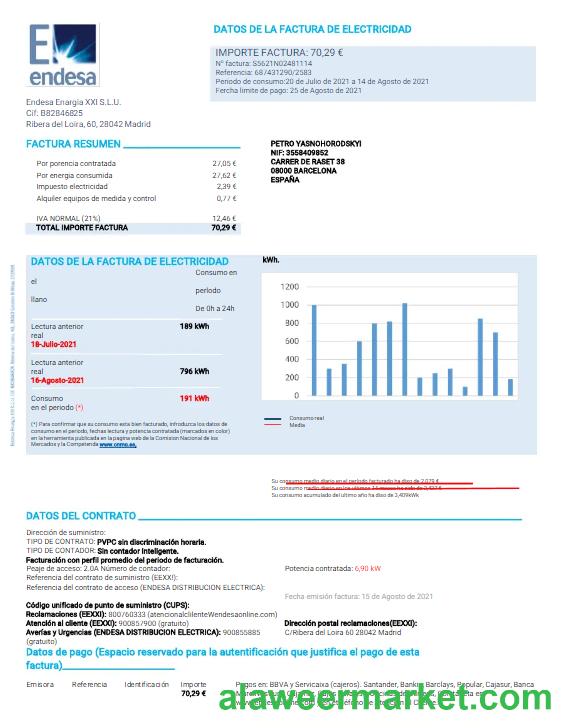 SPAIN ENDESA utility bill Word and PDF template